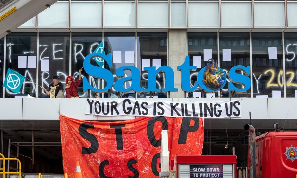 Thumbnail for Protest like the world is ending (because it is)