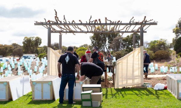 Thumbnail for Additional funding promised for repatriation of Aboriginal remains