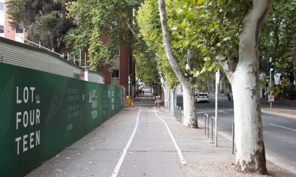 Thumbnail for ‘Adding more scalps’: Plans to fell two more trees at Lot Fourteen