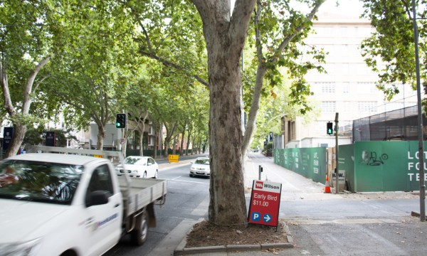 Thumbnail for The council roundup: All things green
