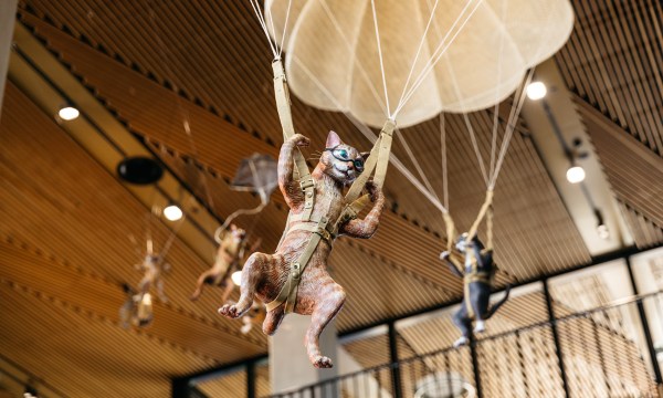 Thumbnail for IT’S COMPLICATED