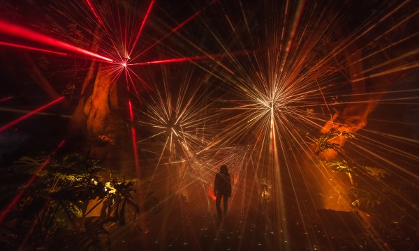 Thumbnail for Illuminate to bring light, sound and Gorillaz to Adelaide this winter