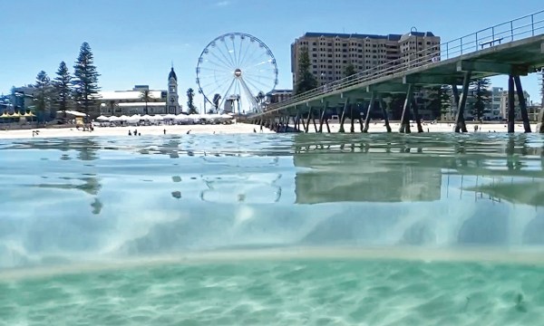 Thumbnail for Locals Love Jetty Road, Glenelg