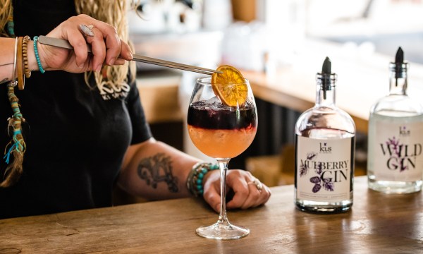 Thumbnail for Cocktail recipe: KI Spirits’ Mulberry and Orange Fizz