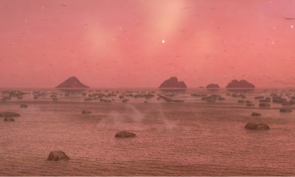 Thumbnail for Living Rocks: A Fragment of the Universe