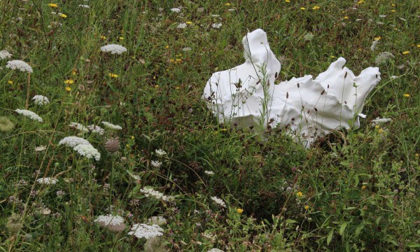 Bridget Currie's 'Object for slugs' (2015, digital photograph)