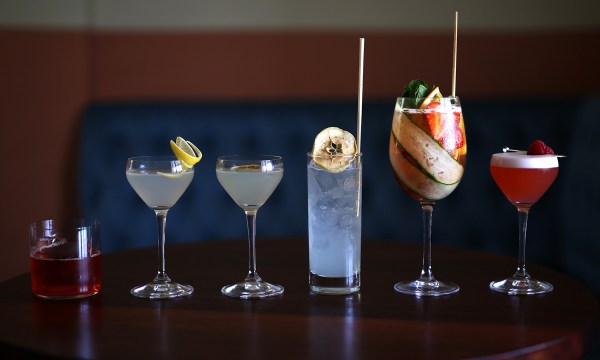 Thumbnail for Never Never Gin Tasting & Masterclass