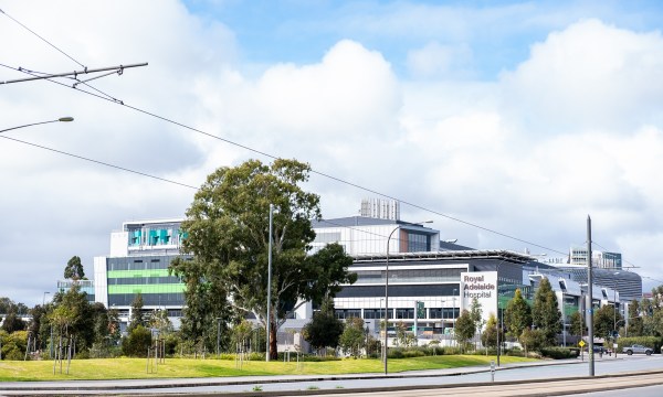 Thumbnail for Councillors grill state government representatives about park lands developments