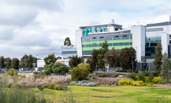 Thumbnail for Adelaide City councillors rebuff Riverbank Code Amendment