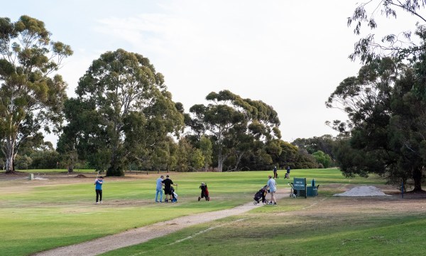 Thumbnail for Aboriginal elder critical of council priorities as Parklands minigolf proposal progresses