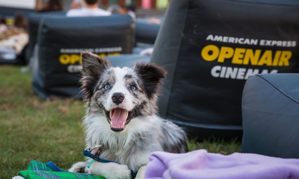 Thumbnail for Openair Cinema on the Riverbank