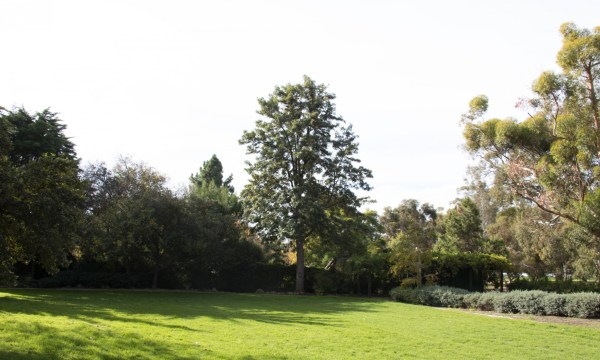 Thumbnail for There’s a lot at stake in the State Government’s Park Lands grab