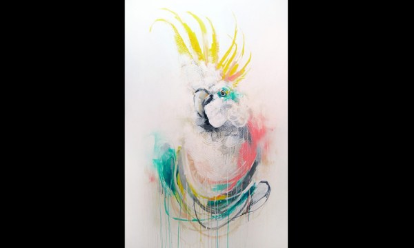 Thumbnail for Spots & Stripes – An RSPCA SA Benefit Exhibition