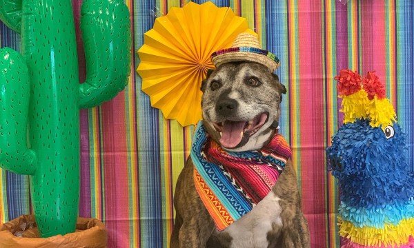 Thumbnail for Remembering Ralph