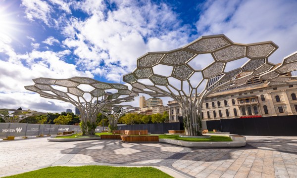 Thumbnail for Festival Plaza Reopening