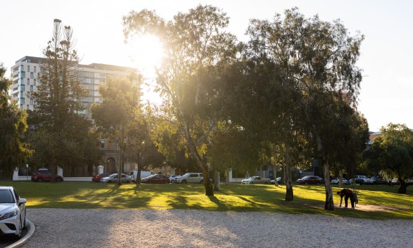 Thumbnail for Councillors vote to reject State Gov’s Park Lands grab