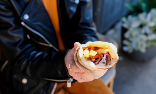 Thumbnail for Vegan Festival