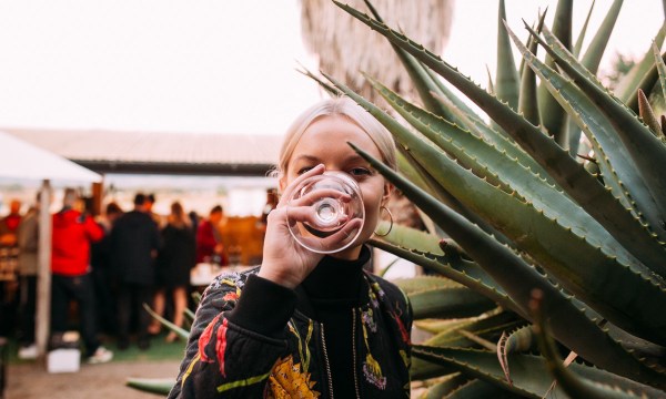 Thumbnail for The Fruitful Pursuit returns with Wine Playground ADL 2020