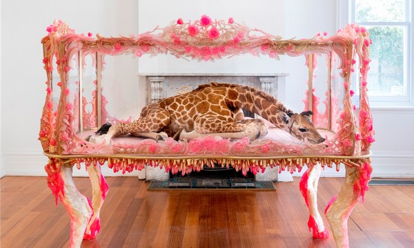 Thumbnail for Five Ramsay Art Prize finalists on what the award means to them