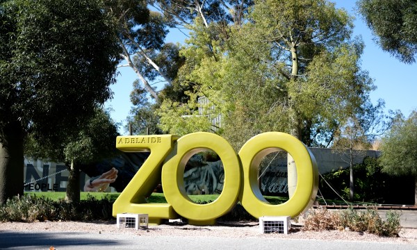 Thumbnail for Zooflix: Wolf Creek