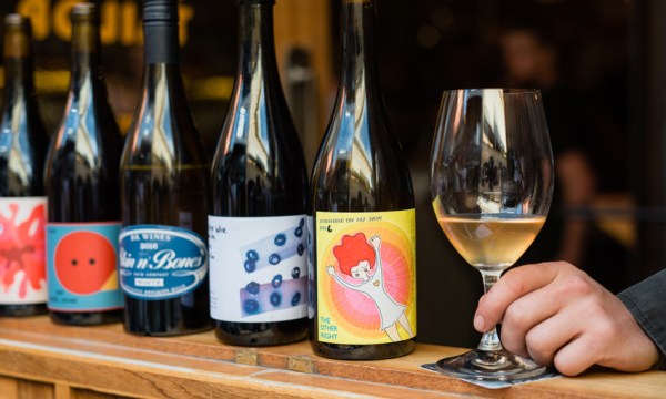 Thumbnail for The Festival at Basket Range