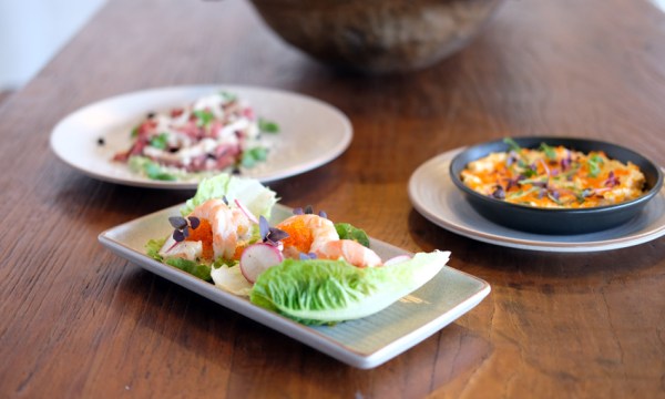 Thumbnail for New Nordic launches dinner service tonight