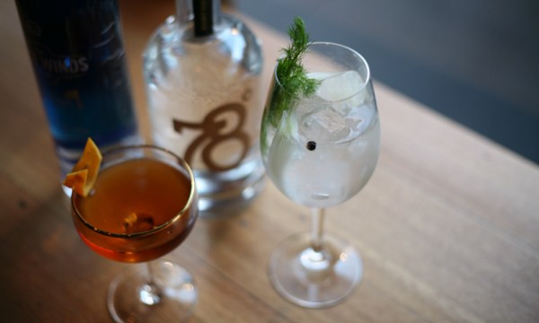 Thumbnail for World Gin Day