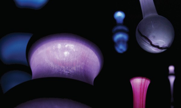 Thumbnail for Verge Exhibition Opening