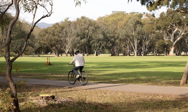 Thumbnail for Fork in the road: Council divided on city’s next transport plan