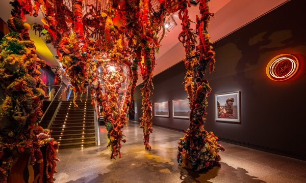 Thumbnail for First Fridays at Art Gallery of SA