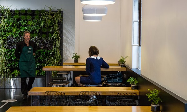 Thumbnail for Fast casual eateries are swallowing fine dining