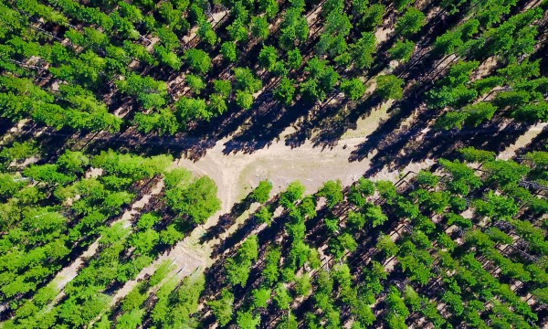Thumbnail for Adelaide City Council’s $47k in carbon offset bill