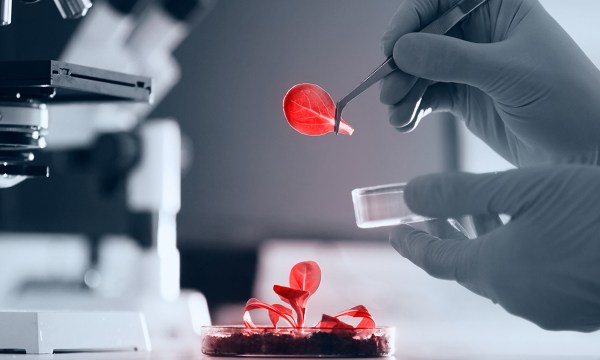 Thumbnail for Connecting the dots with Research Tuesdays