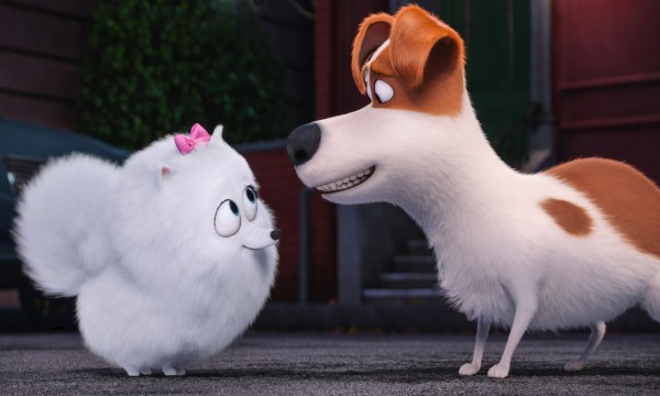 Thumbnail for RSPCA’s Dogs at the Drive-in