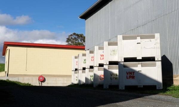 Thumbnail for Vinteloper’s bigger and better things